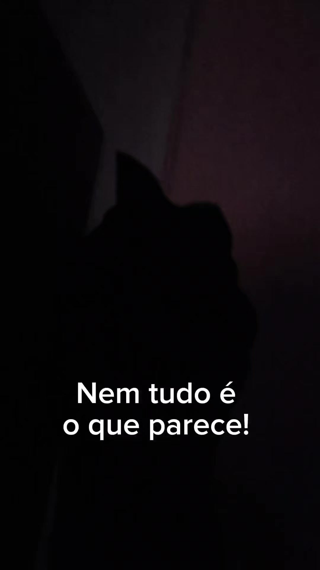 @Taty Forti