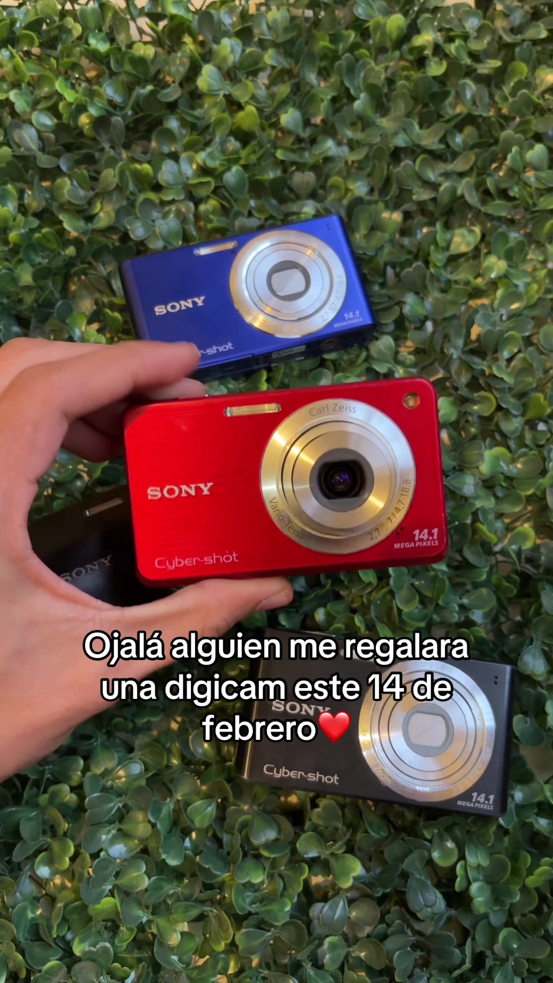 @FotoTechMX