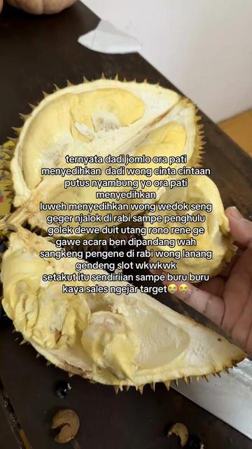 @littlebite9