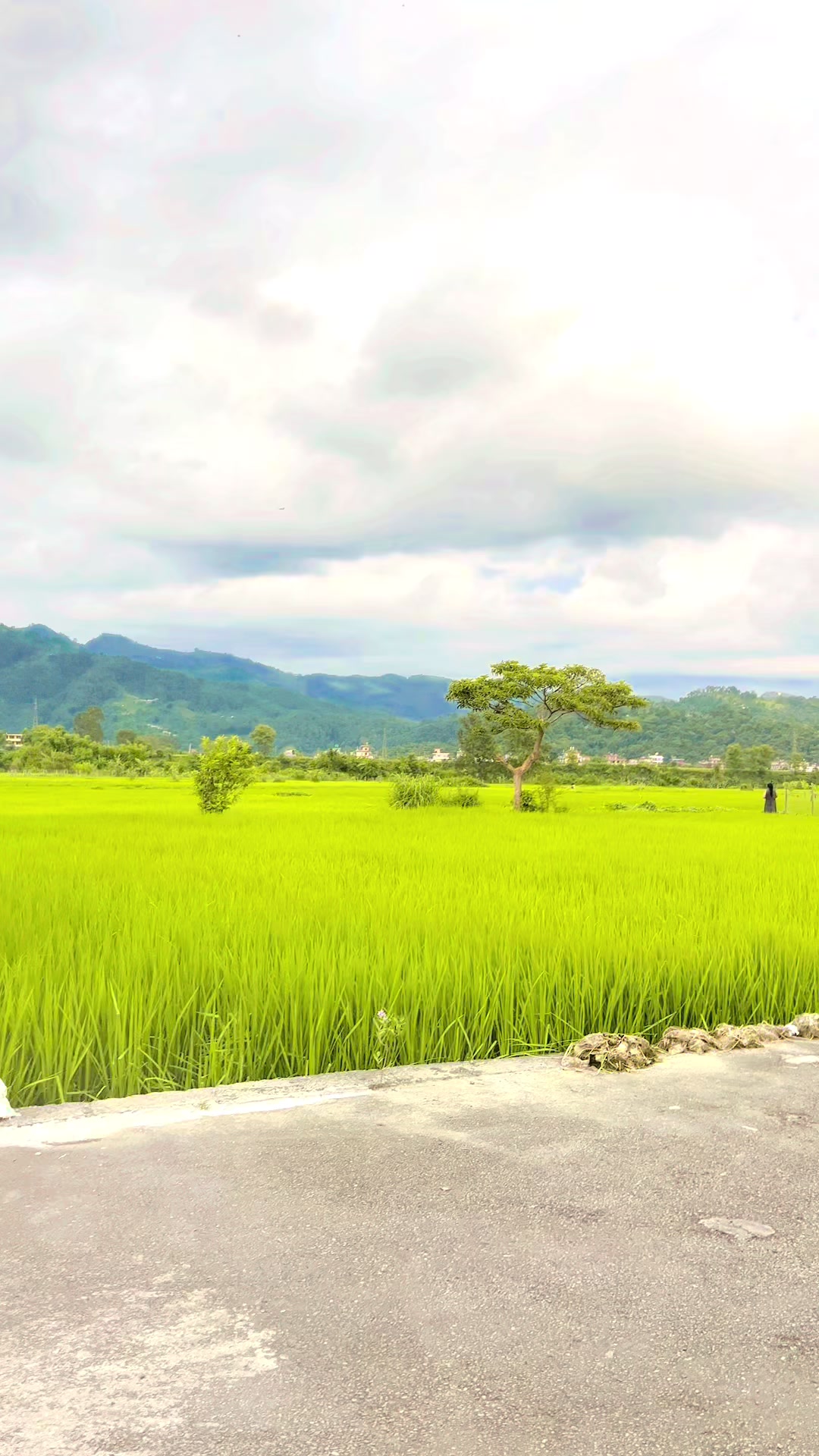@Phulmaya Kunwar