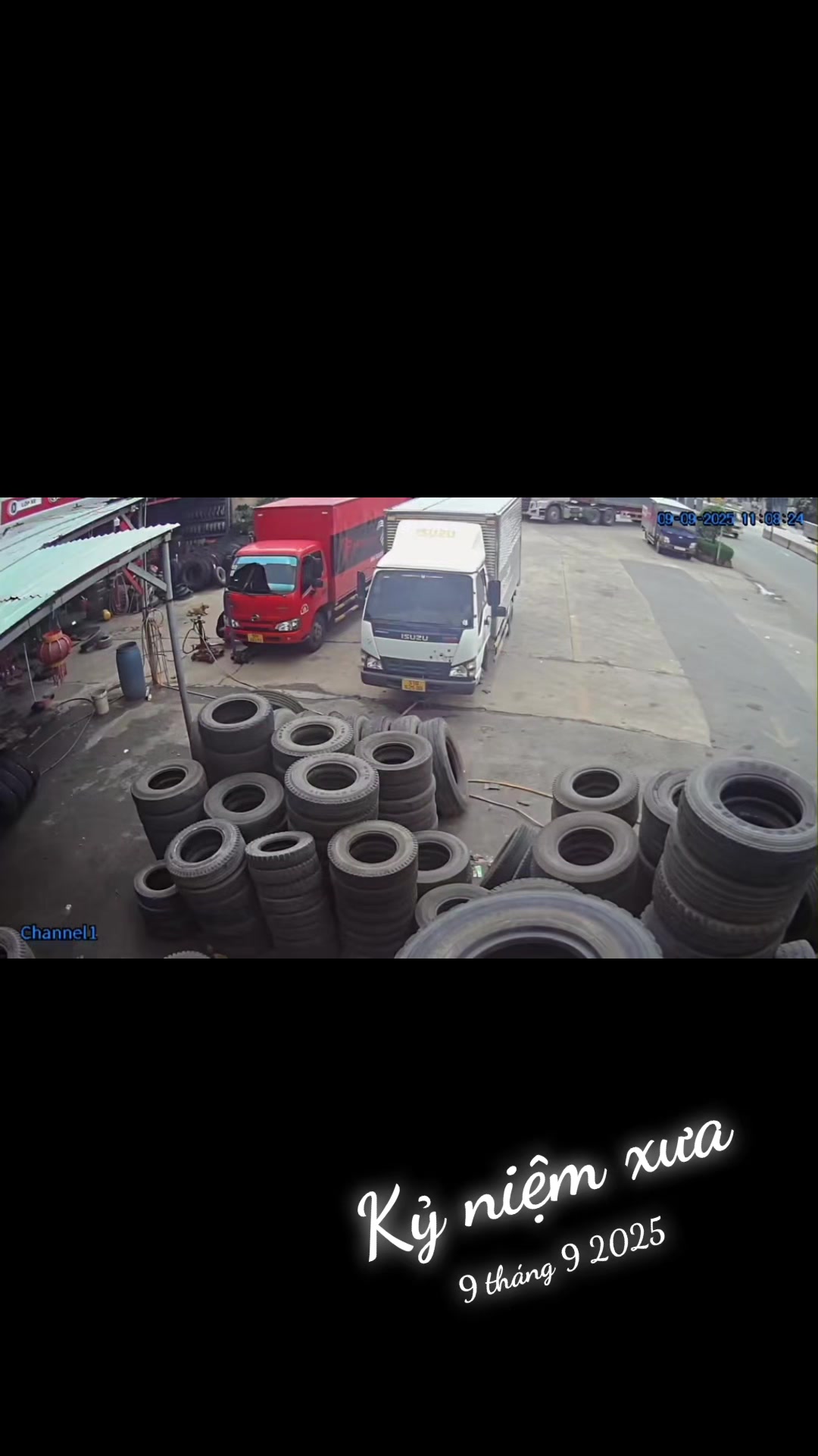 @Cửu Long Thiên