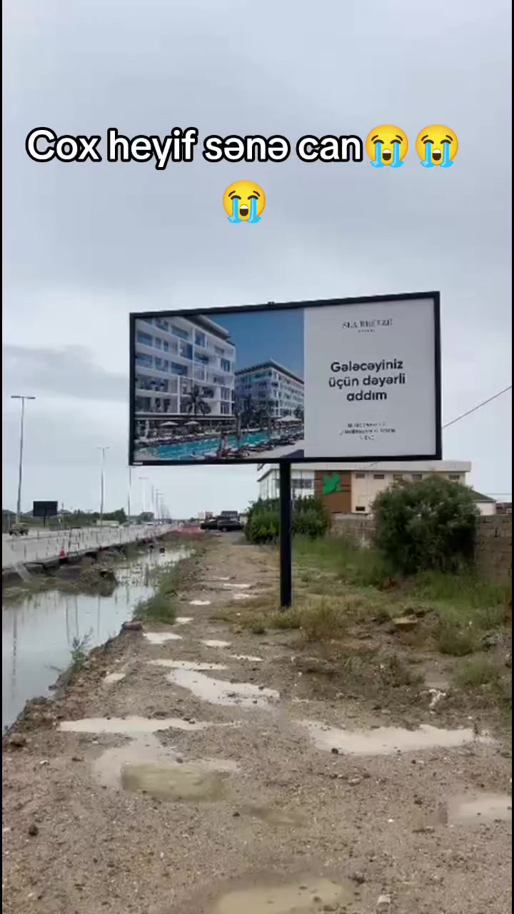 @Sahibsiz heyvanlara dəstək