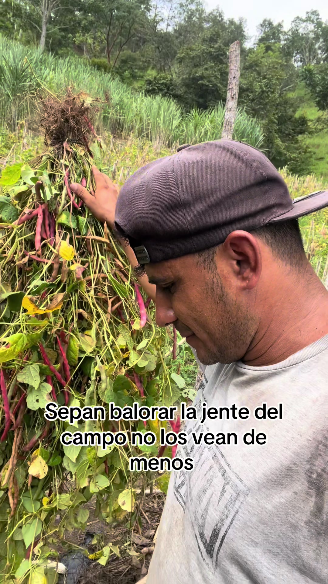@EL MINI🧃
