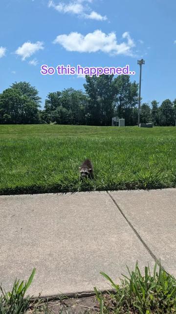 @Sarahsquirrels43🐿️