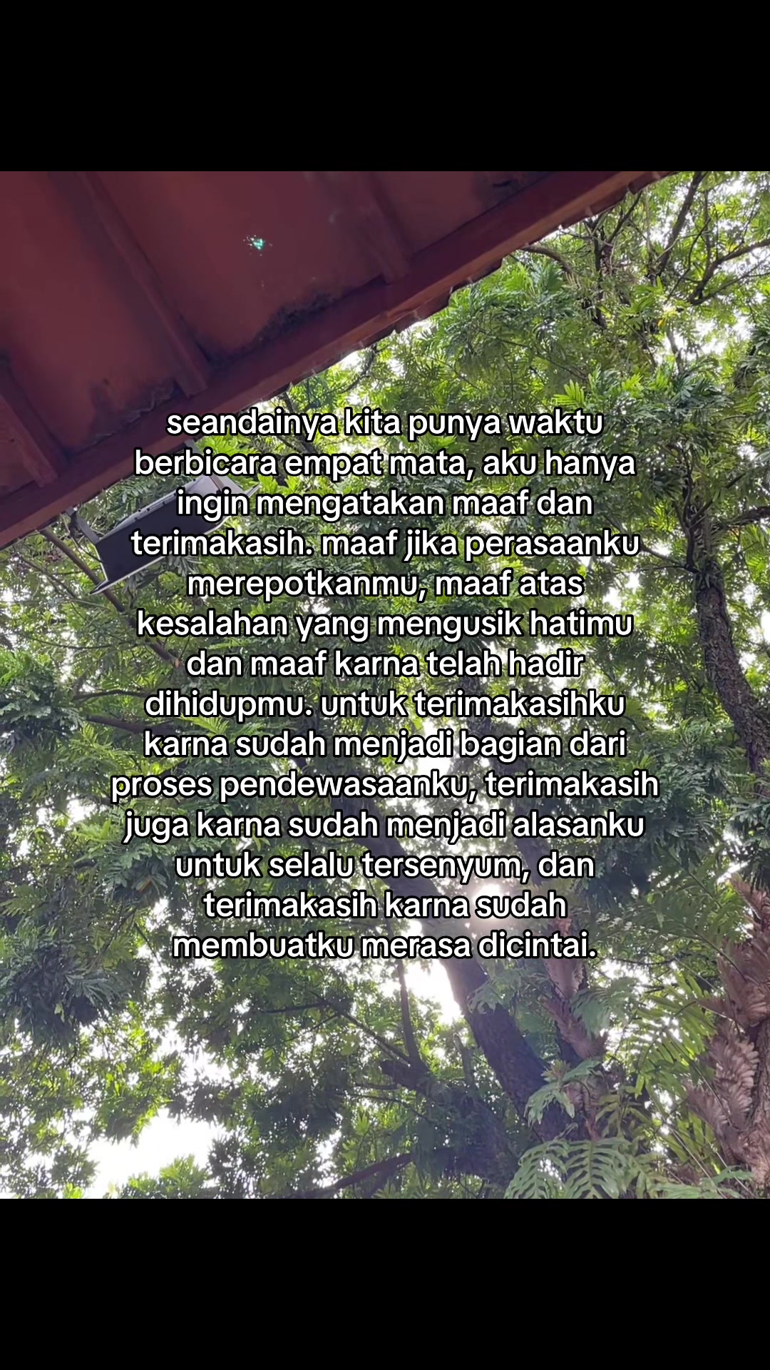 @ayippp