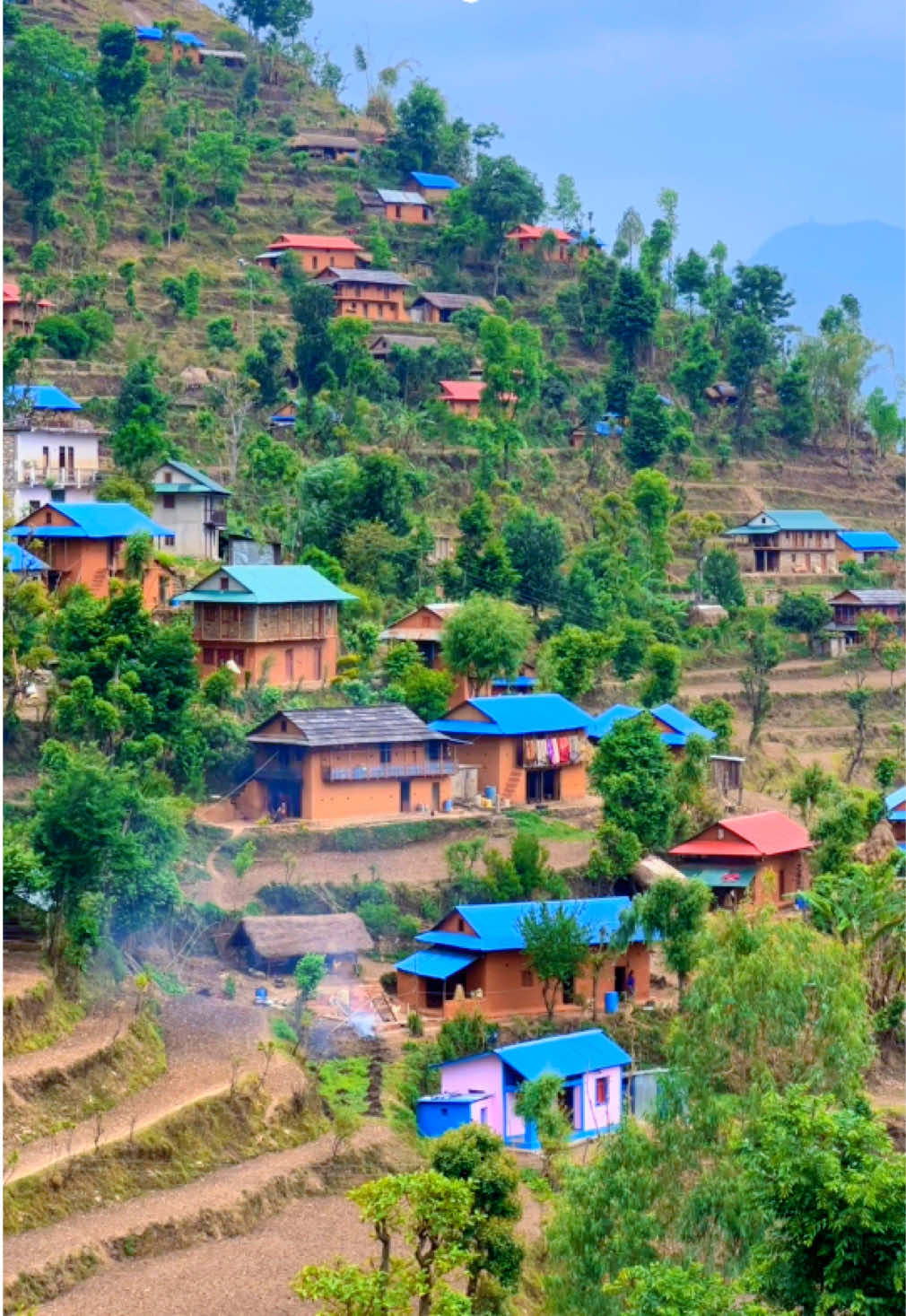 @Mr.Ale Magar🇳🇵