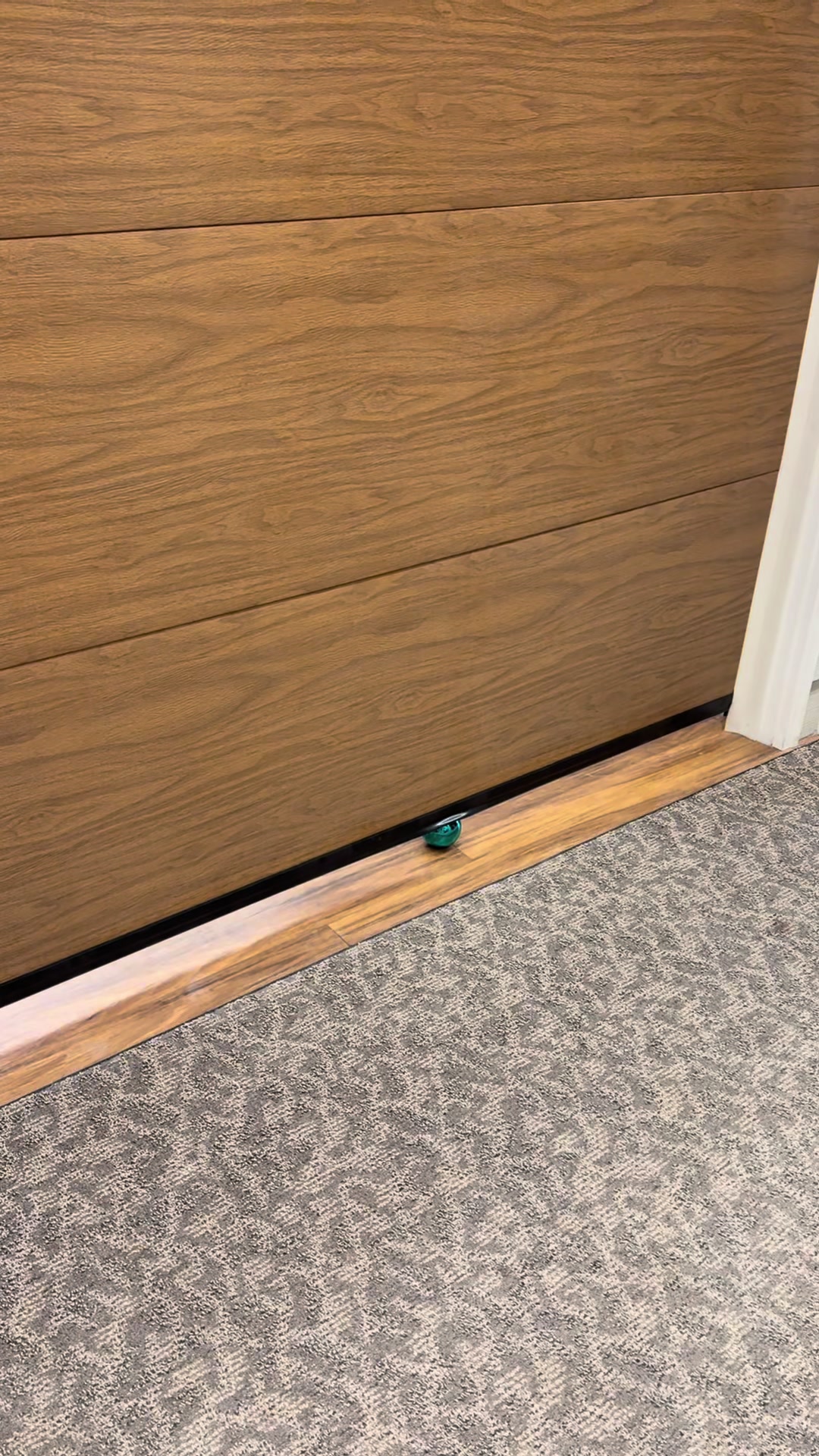 @Lifetime Door Company