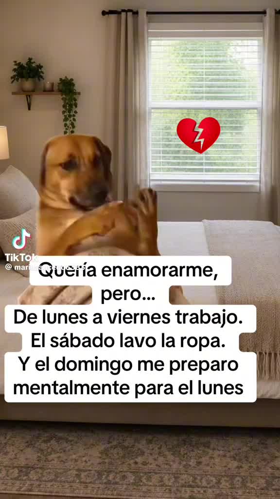 @Gaviota777