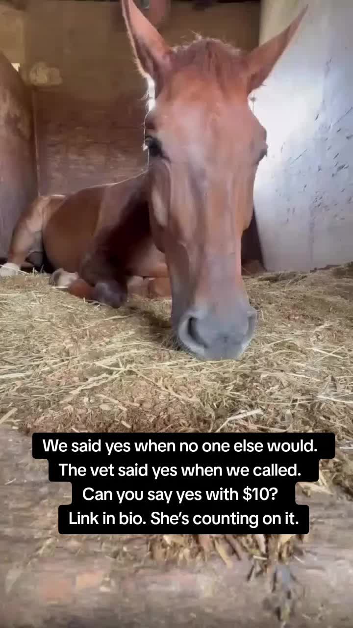 @angels.fleet.rescue