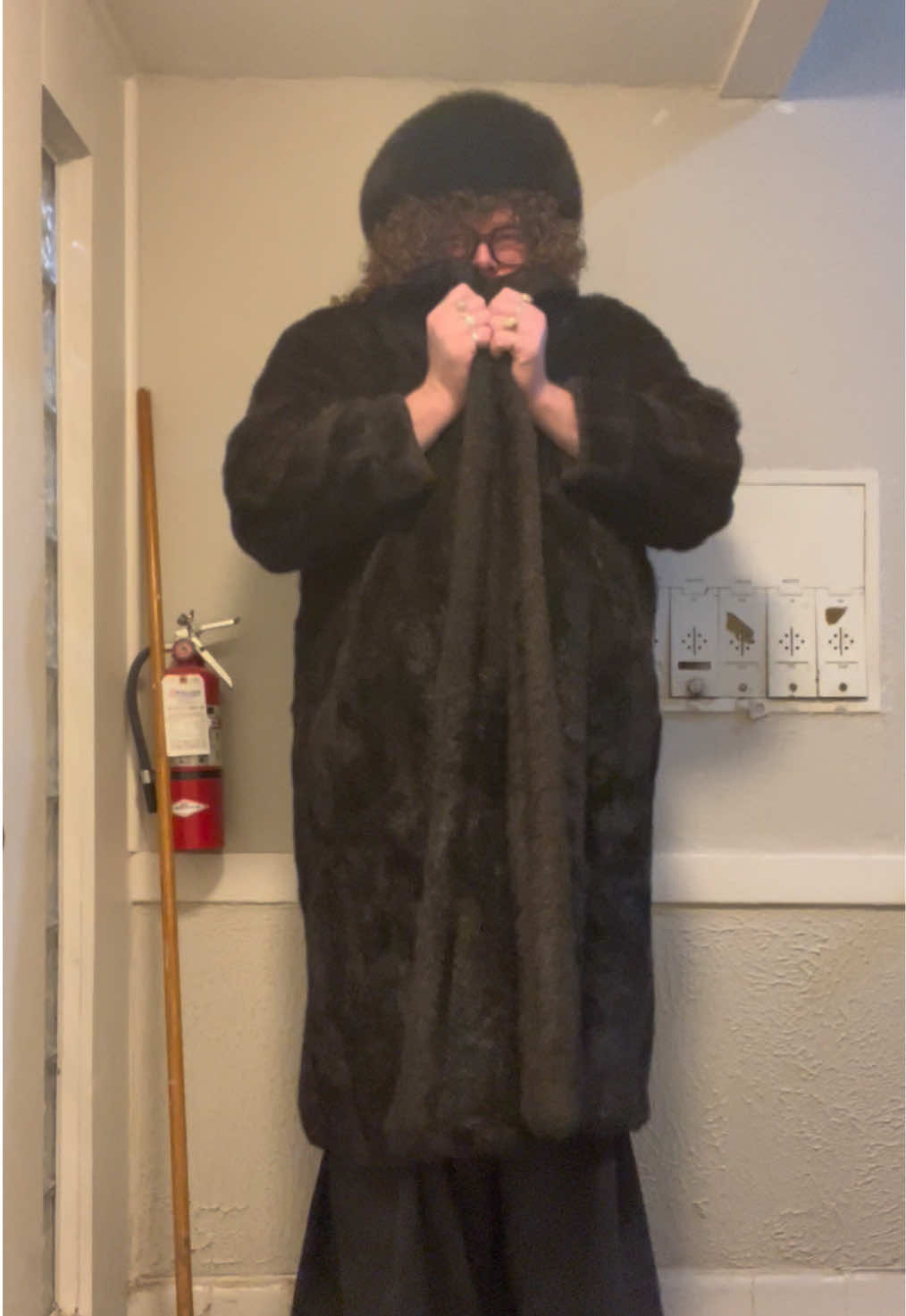 @champagnecedar.gay