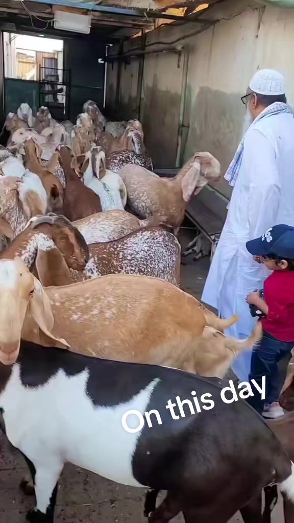 @Waqas Qureshi
