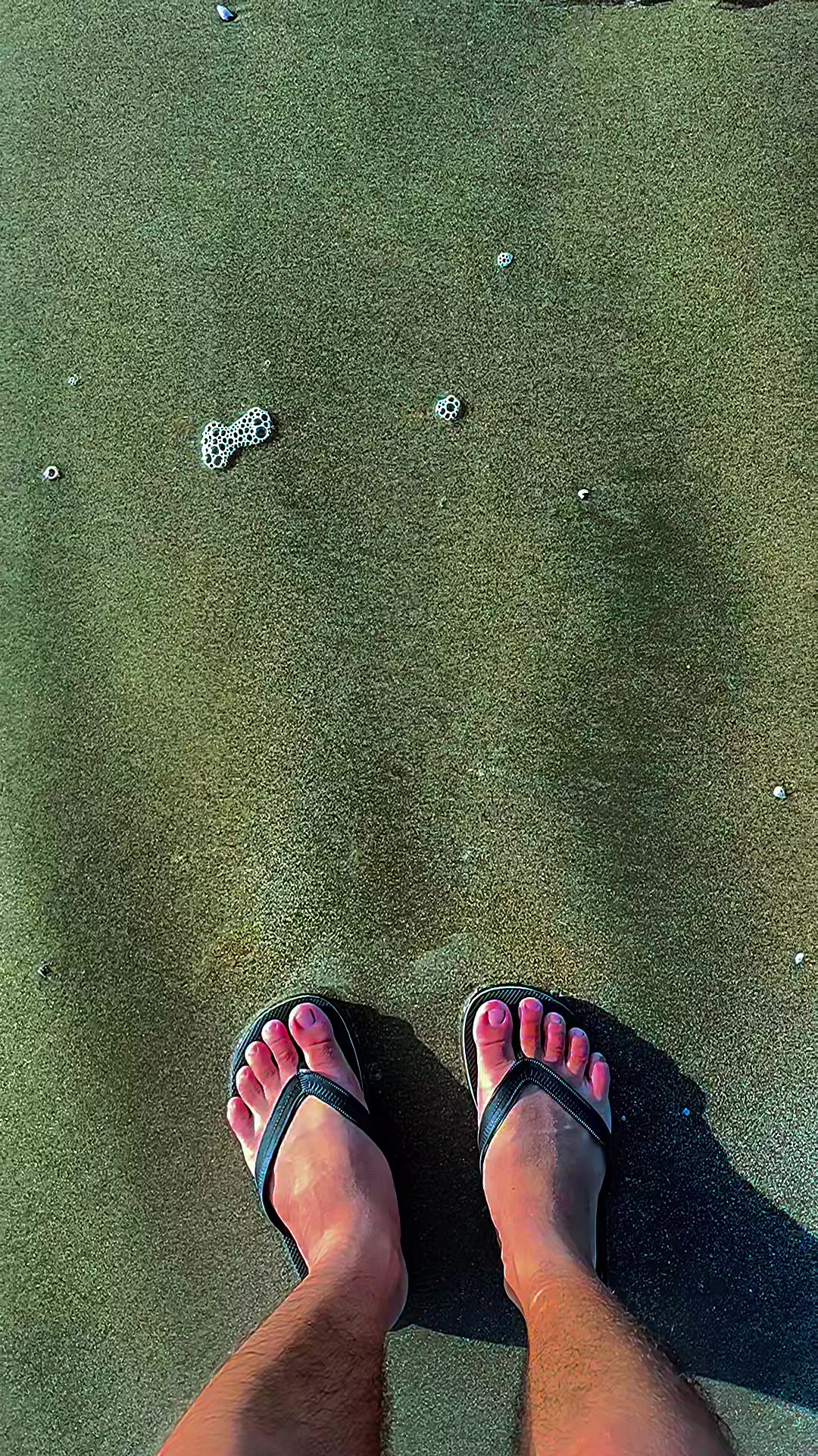 @TÂN