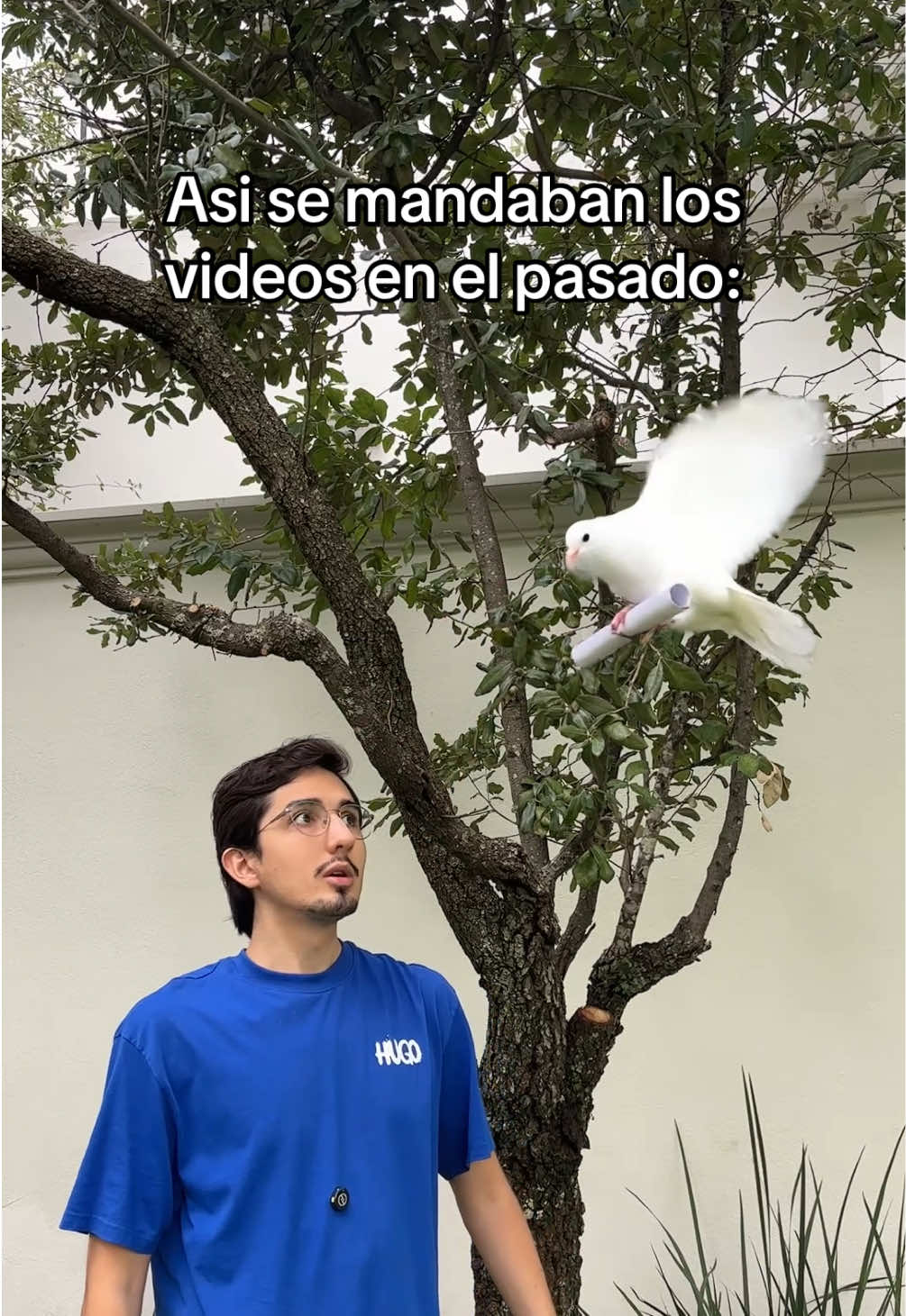 @Emiliano Limón