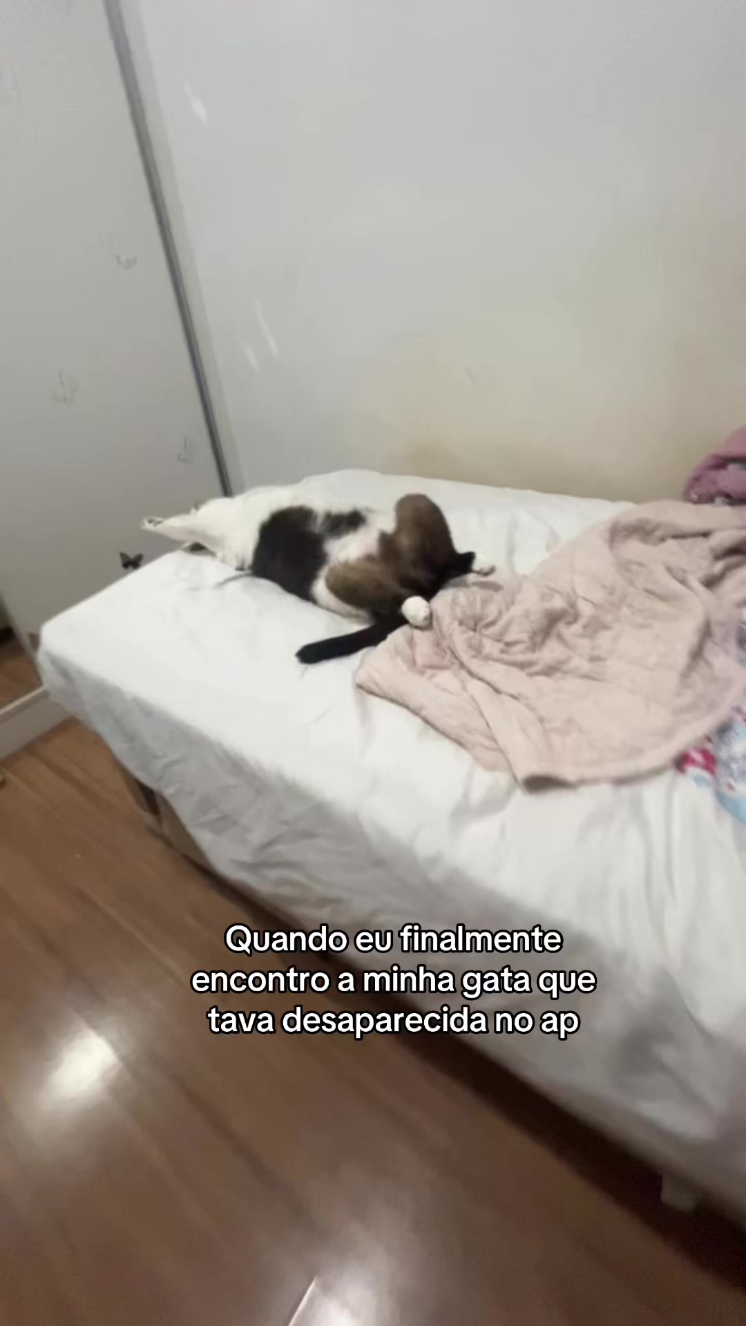 @lulu⁷