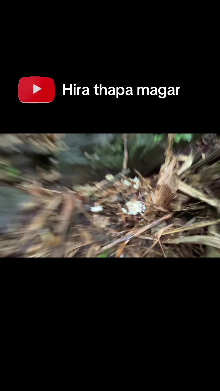 @Hira Thapa Magar💎