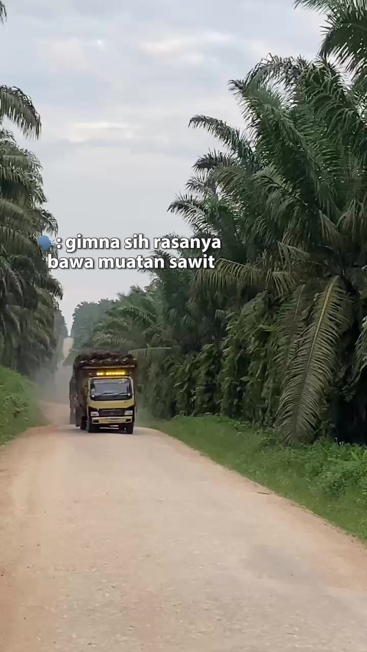 @๐DULโก๏ธ