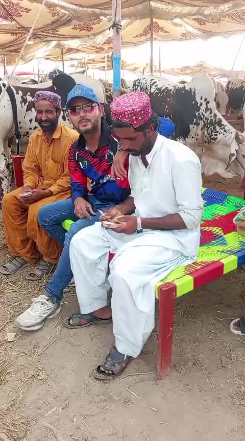 @Muhammad Rafique 768