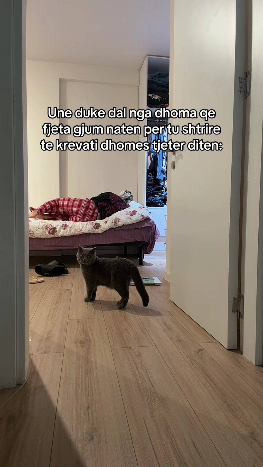 @Ester Seferaj