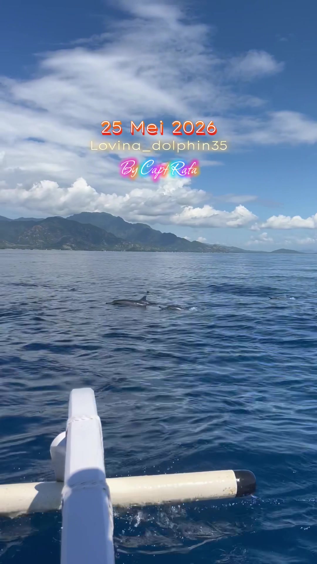 @𝙇𝙤𝙫𝙞𝙣𝙖_𝙙𝙤𝙡𝙥𝙝𝙞𝙣35