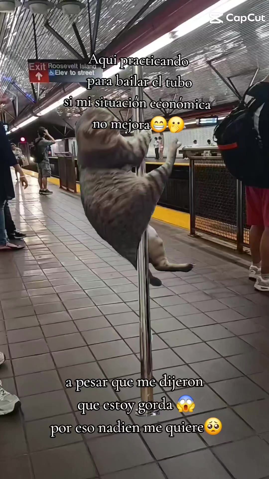 @🥰🥰🥰