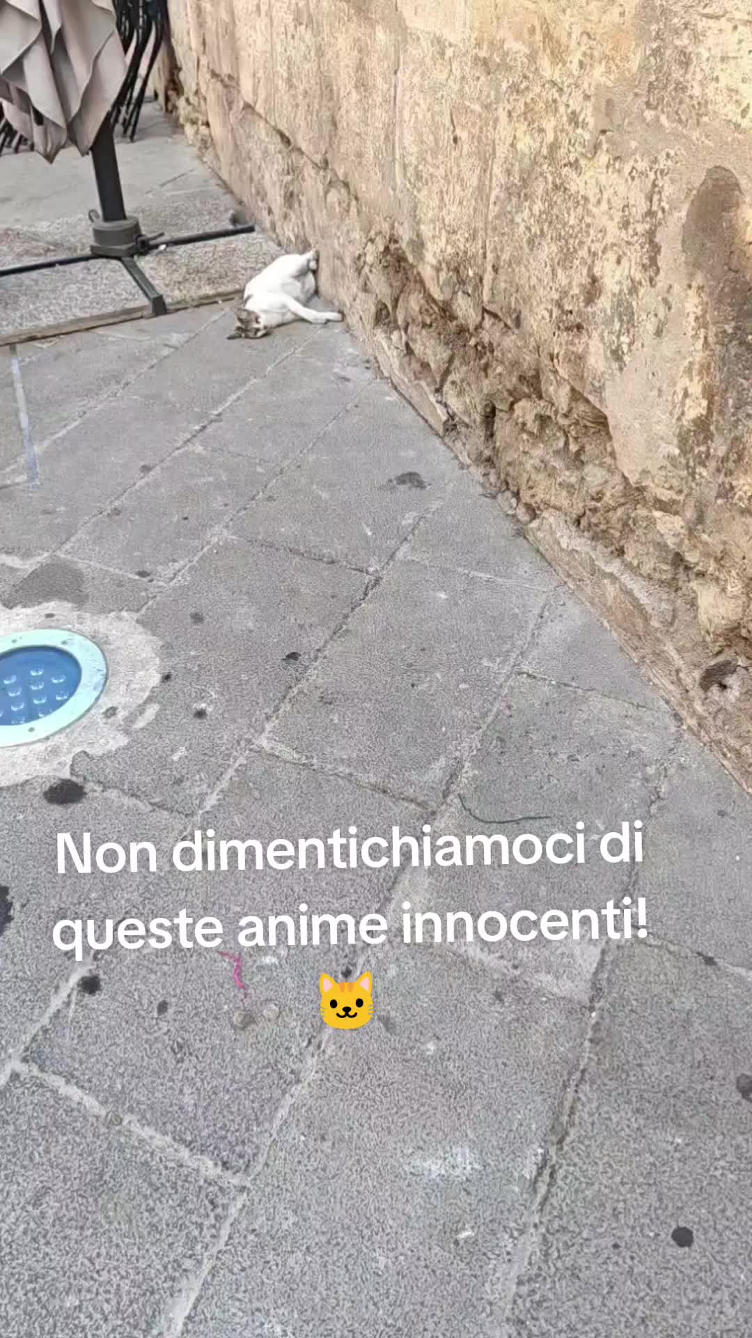 @esterbongi