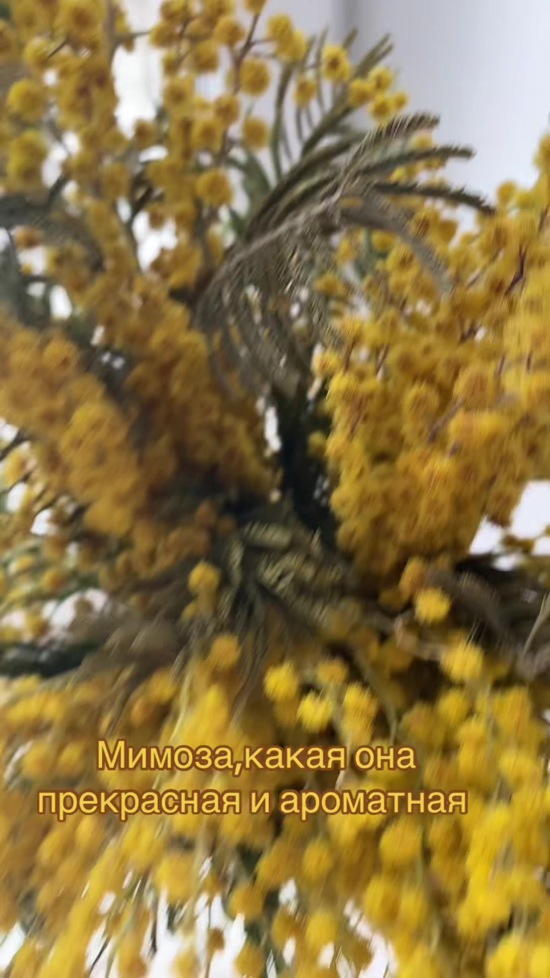 @Мама Скорпион