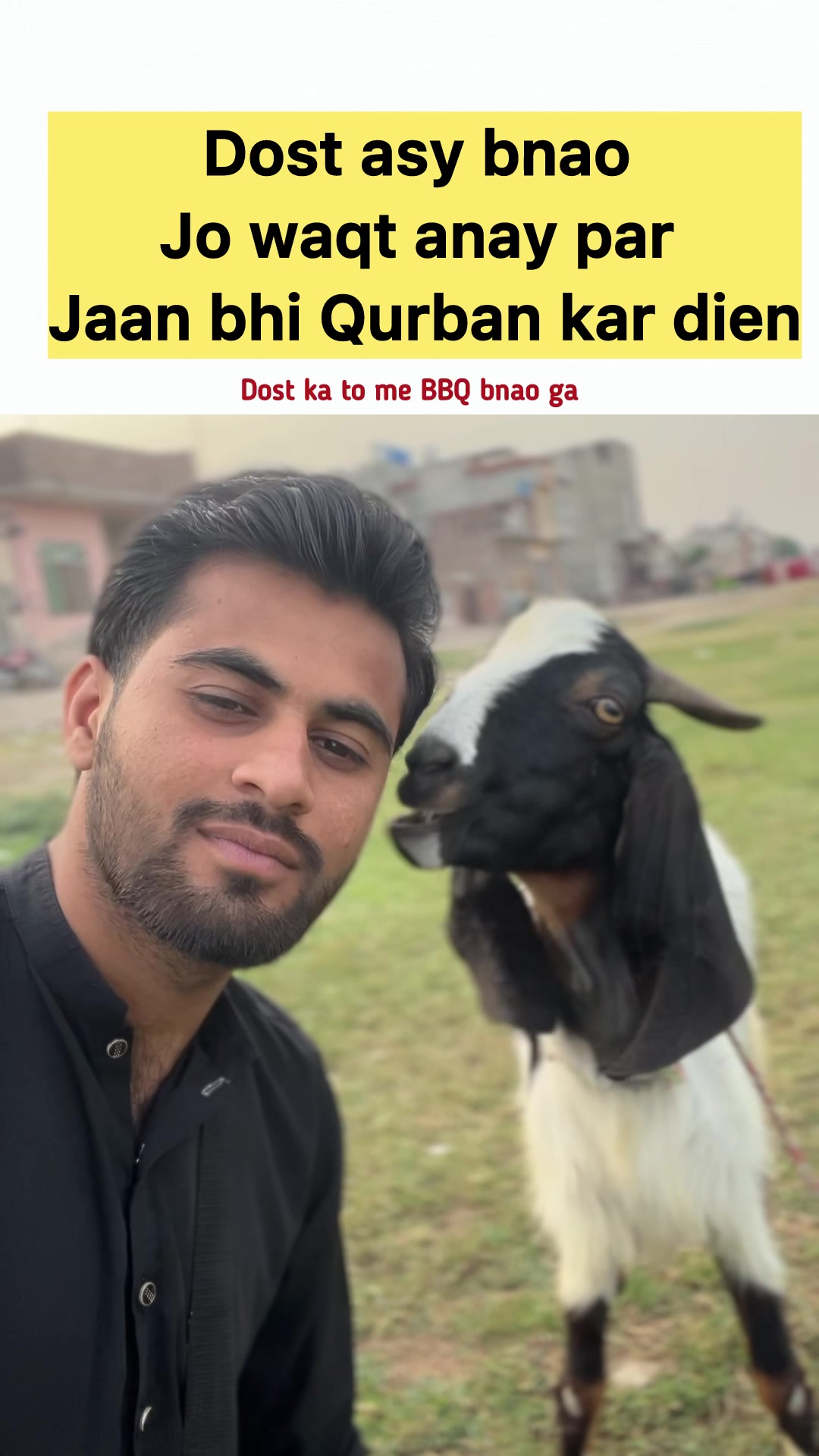 @Hussnain