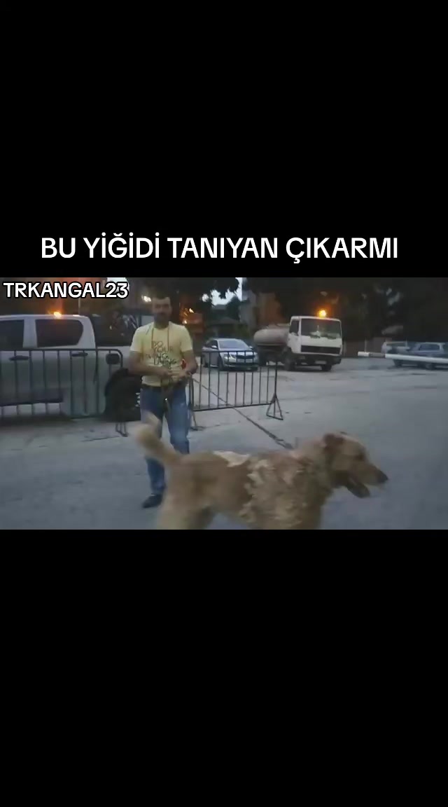 @🏆 TRKANGAL23 🏆