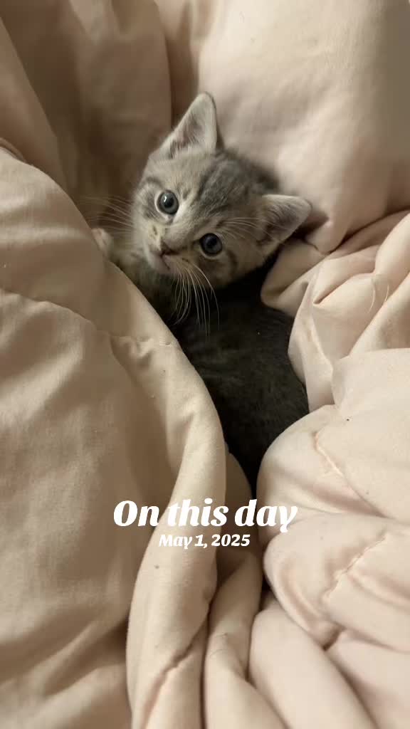 @Bri Momma