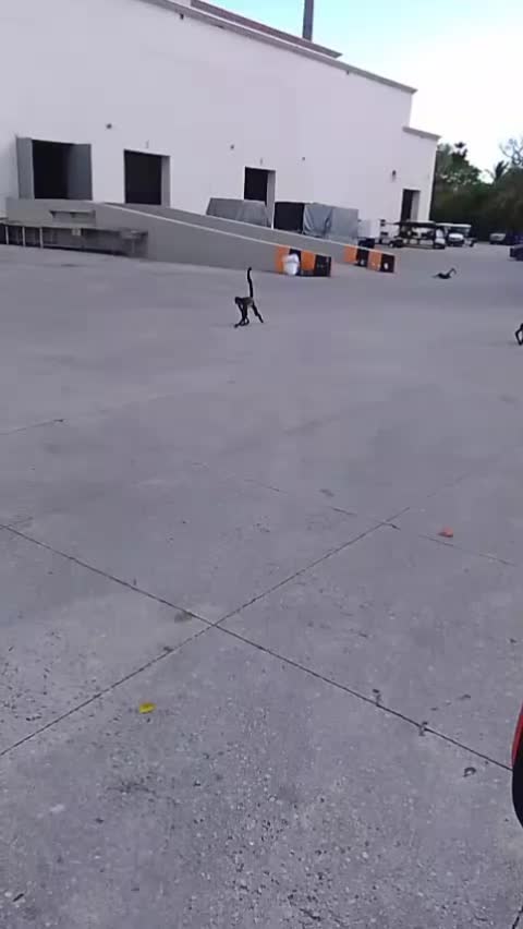 @Ulises Ríos