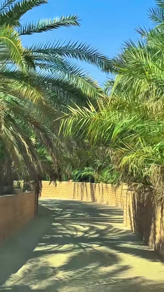 @Discover Al Ain 🏝️
