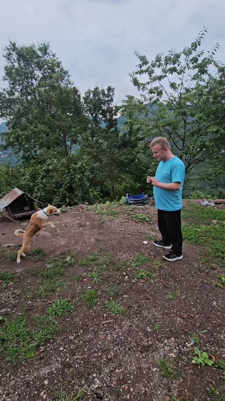 @SARI KOMUTAN🇹🇷