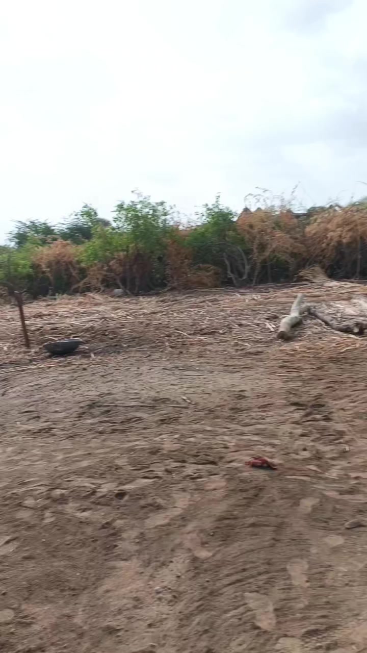 @Mukesh kumar kolhi
