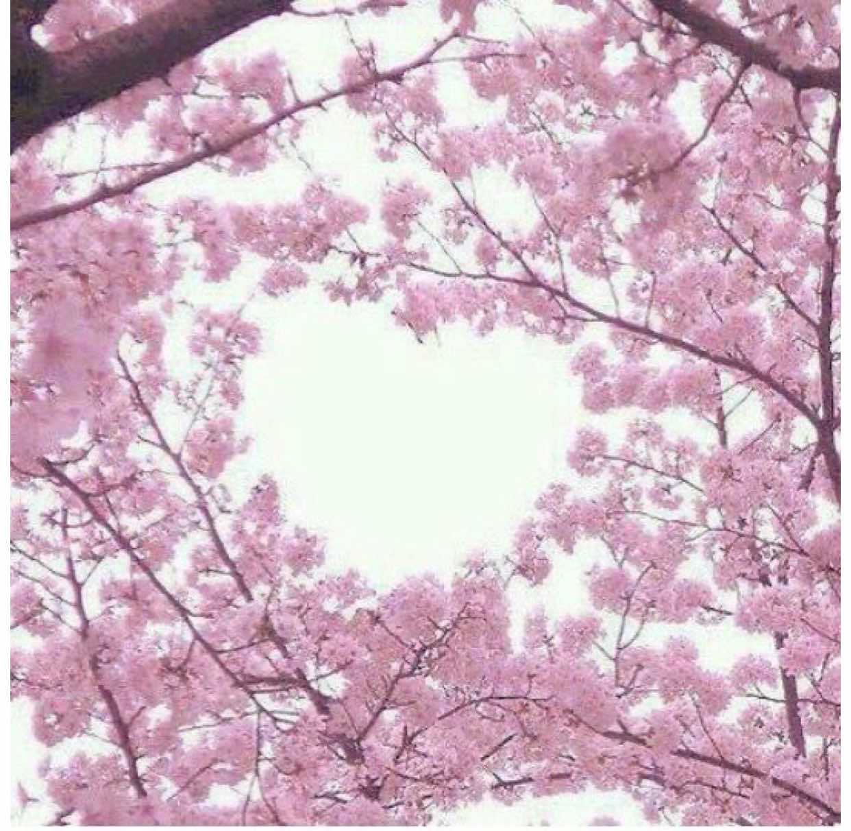 @˖ ࣪⊹ Reiko (Tsukasa’s lover)