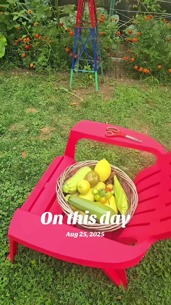 @Just Ed🤙🏿