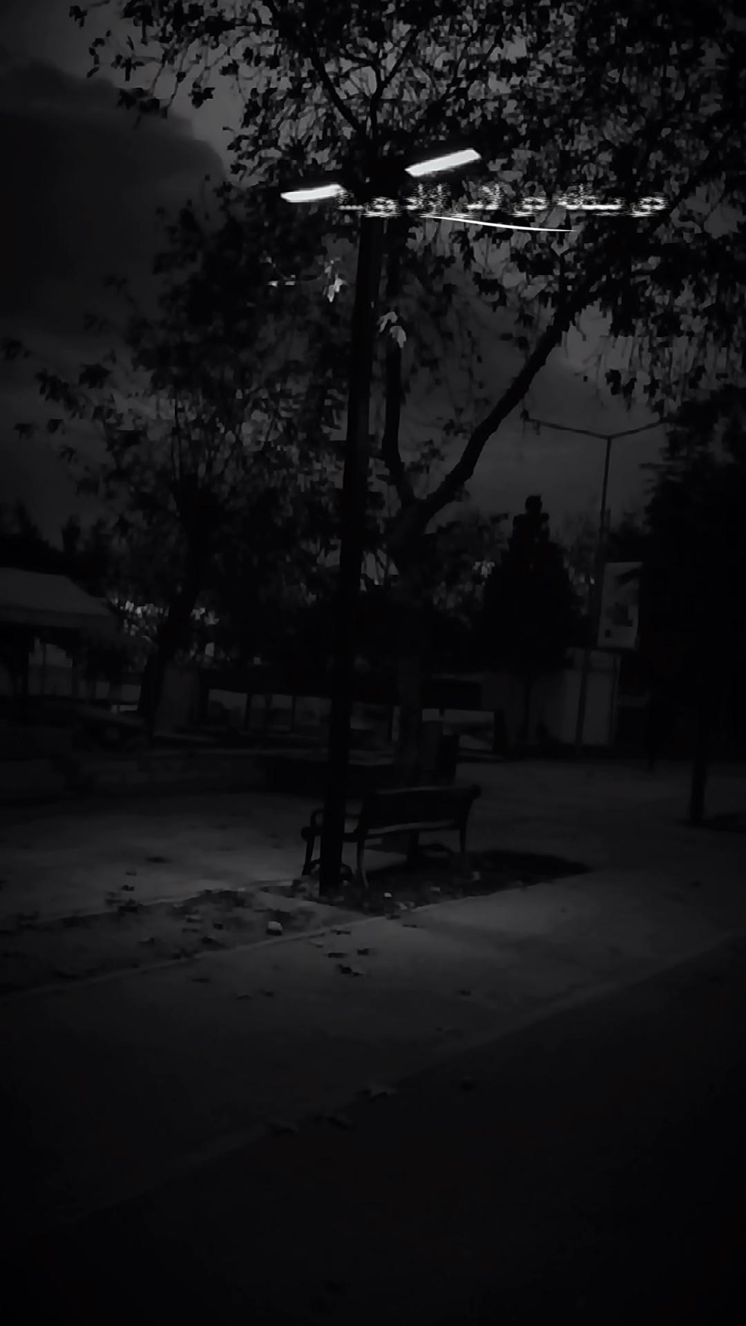 @♡       𝙃𝘼𝙈𝙄𝘿𝙊༻