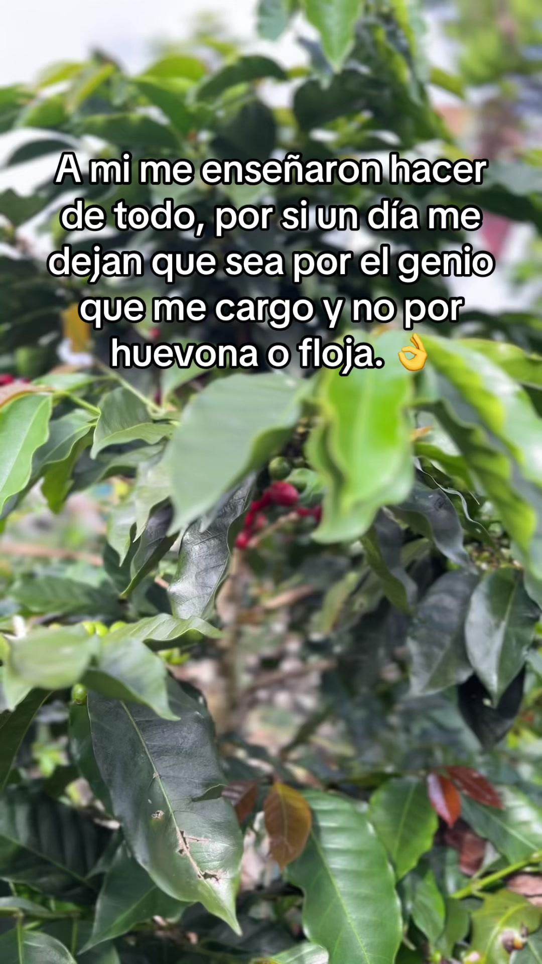 @Natalia Muñoz