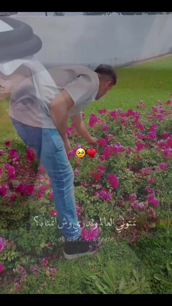 @♯̶الـ حݪۅهههۃة 𝓕🌸