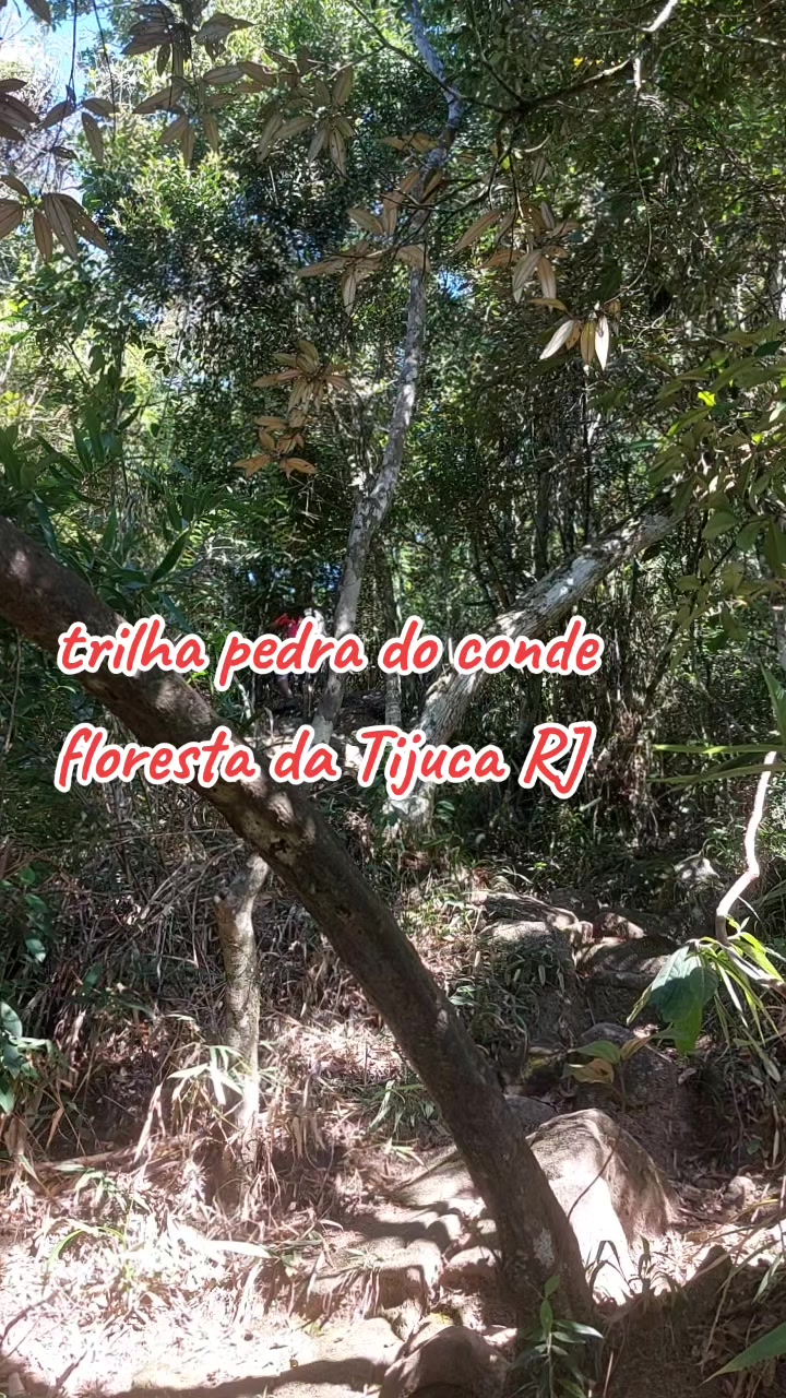 @rd trilhas passeios e viagens