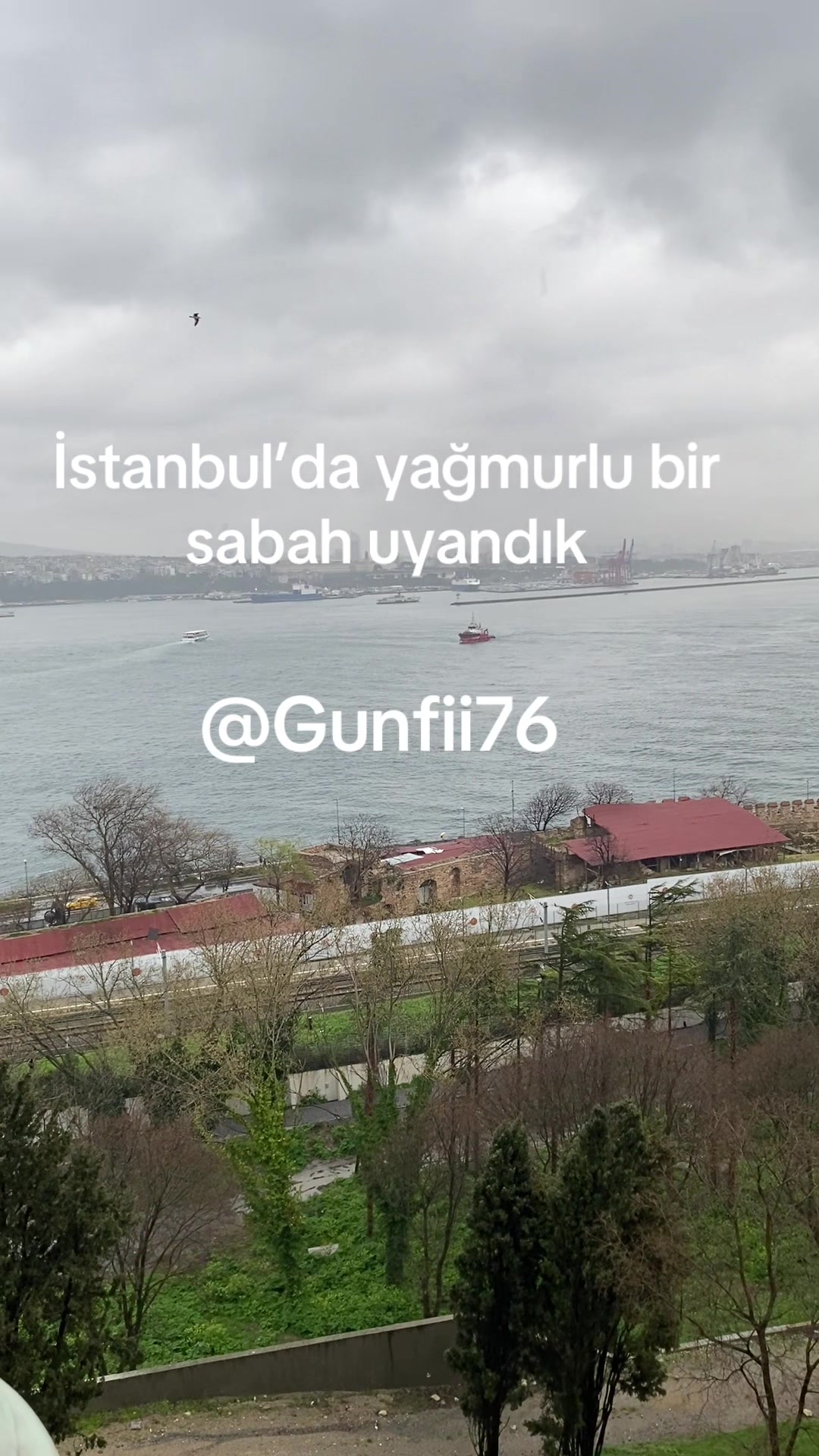 @✌️Kêçâ kurd'a✌️