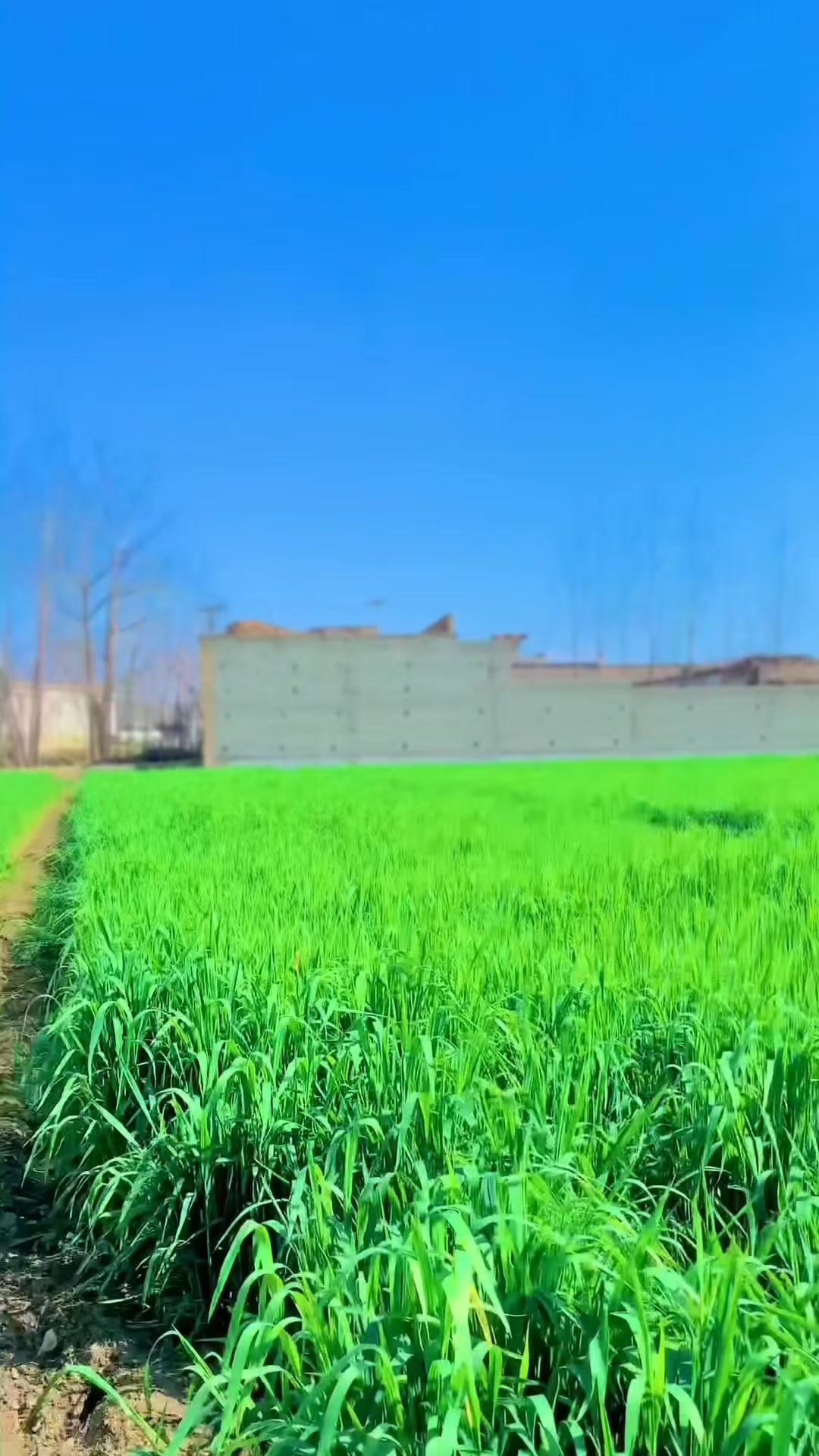 @Rauf Khan 🇵🇰💕🇦🇪