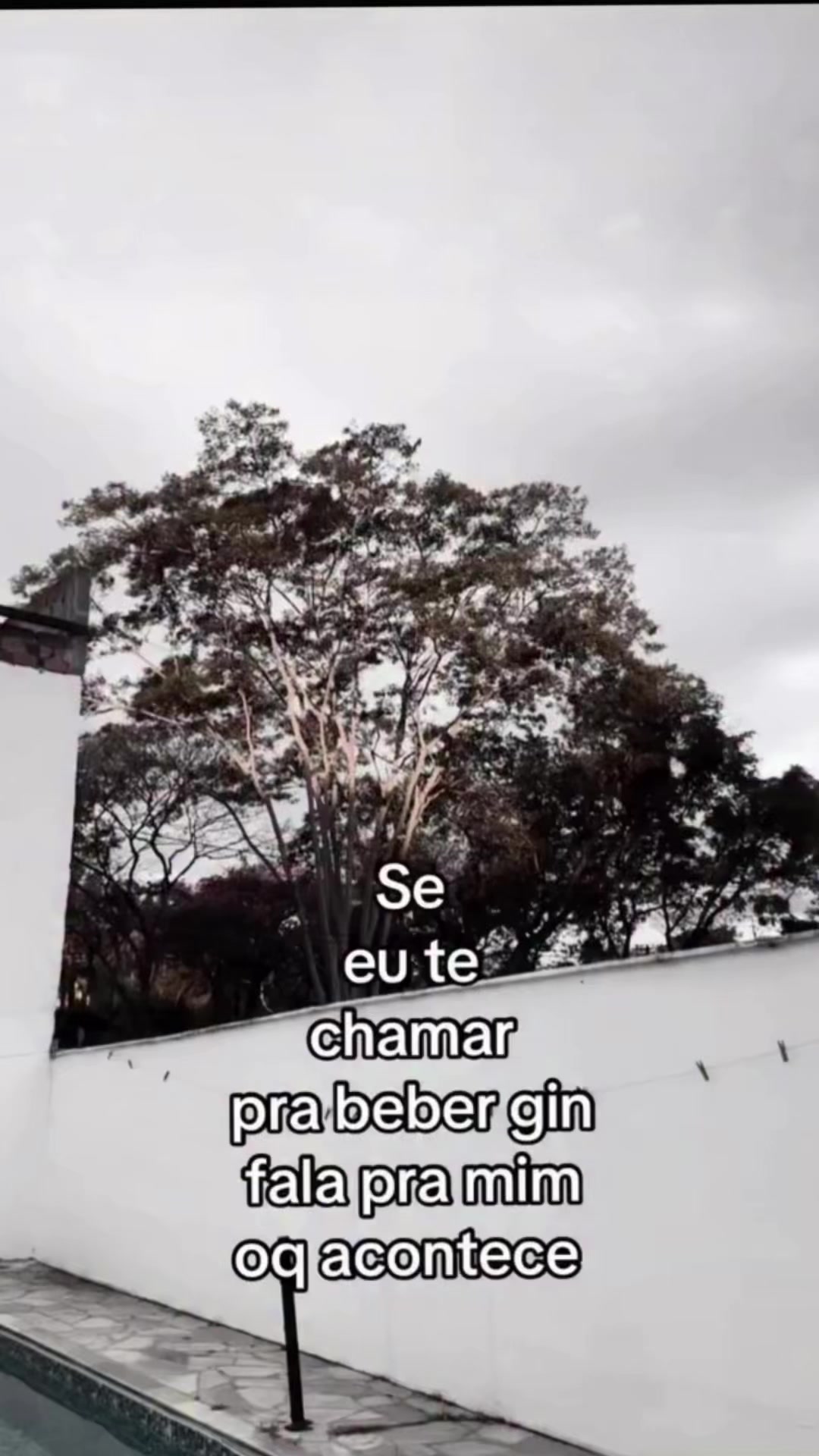 @vittoriafsy🦋