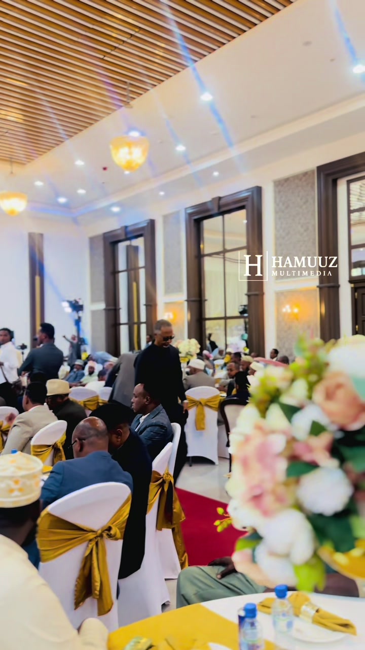 @Hamuuz🎥