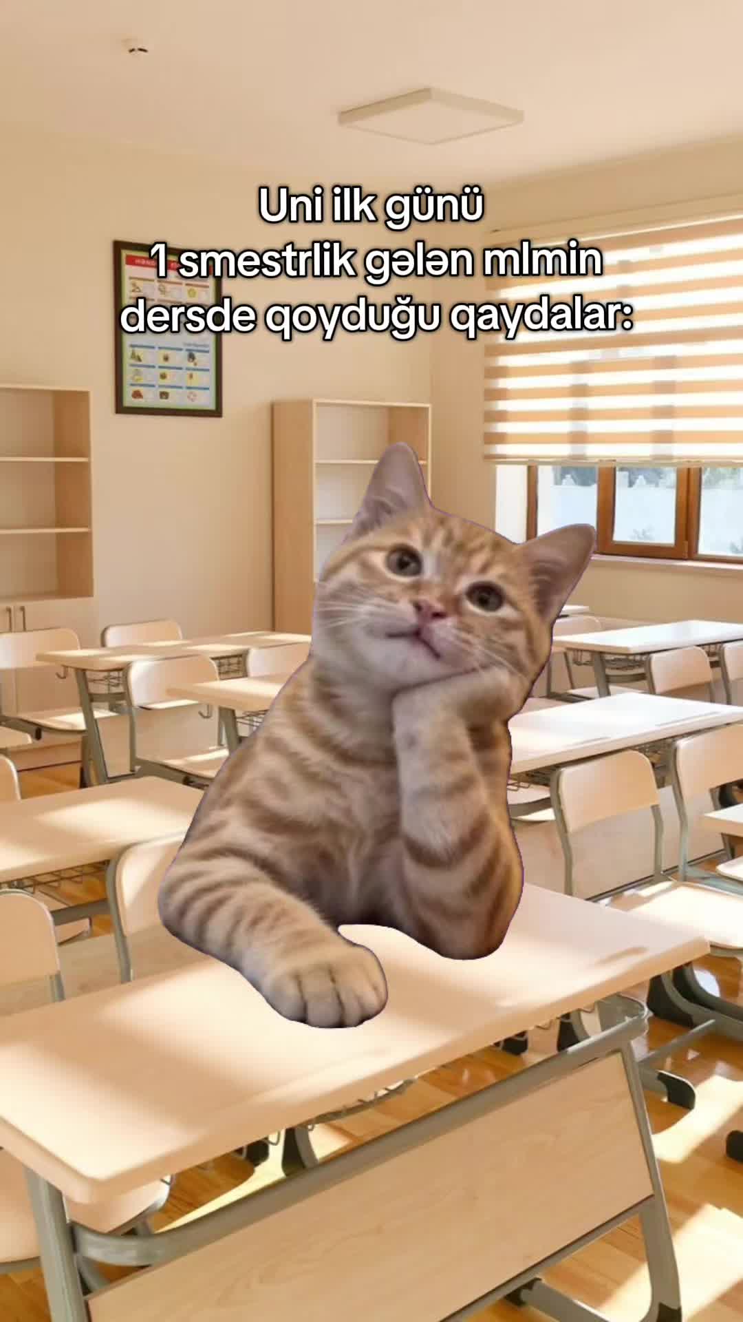 @โ๐๐๐โ