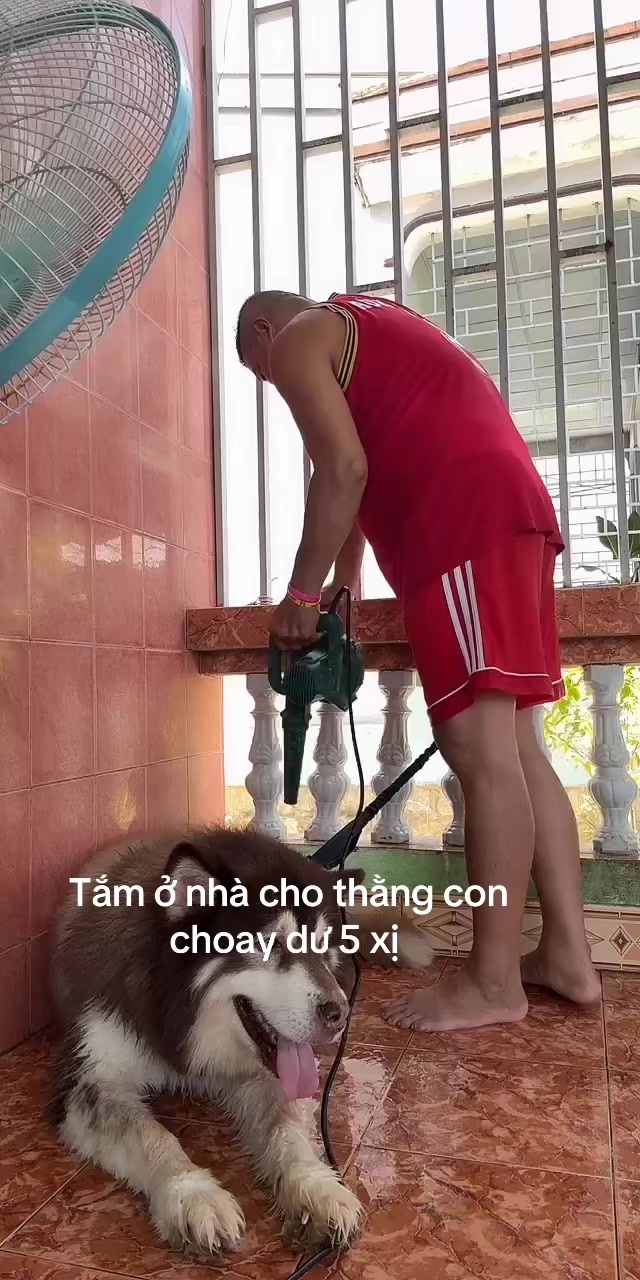 @MinhLee Nha Trang