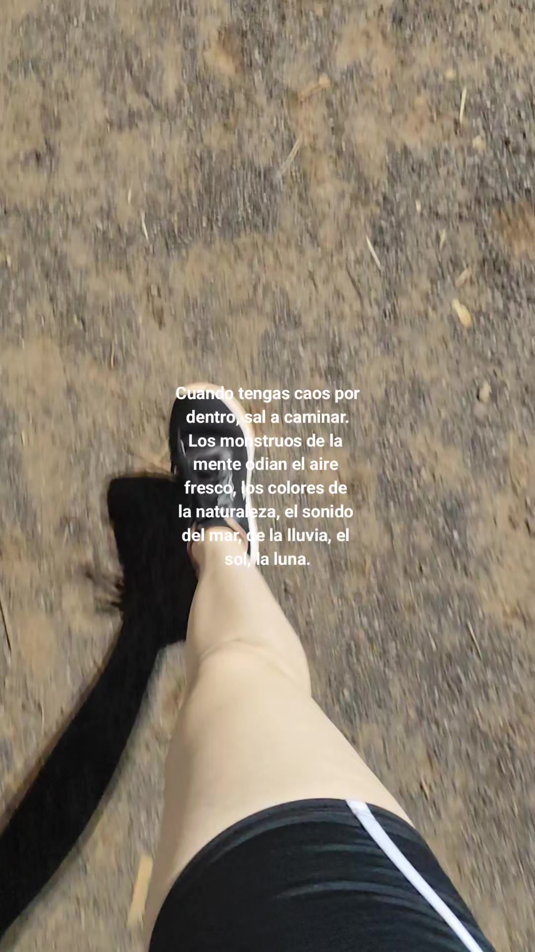 @️ Belén Parris 🇵🇾