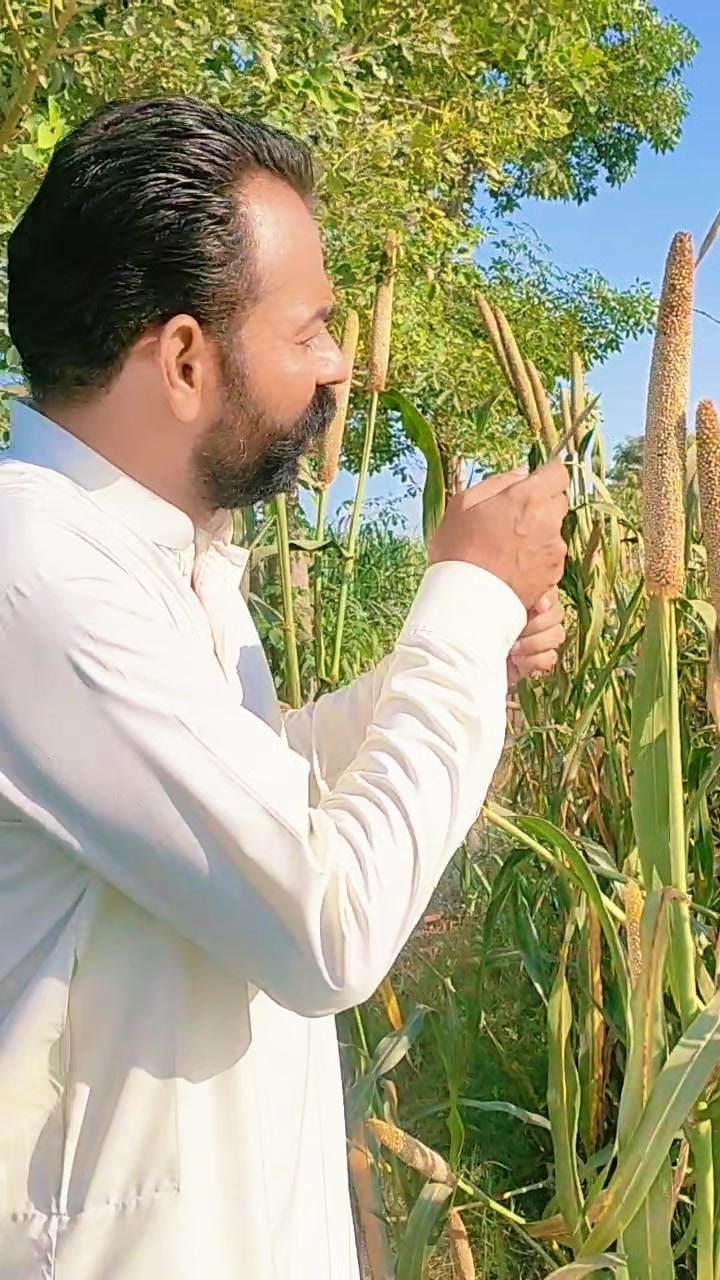 @SAMI ULLAH OFFICIAL