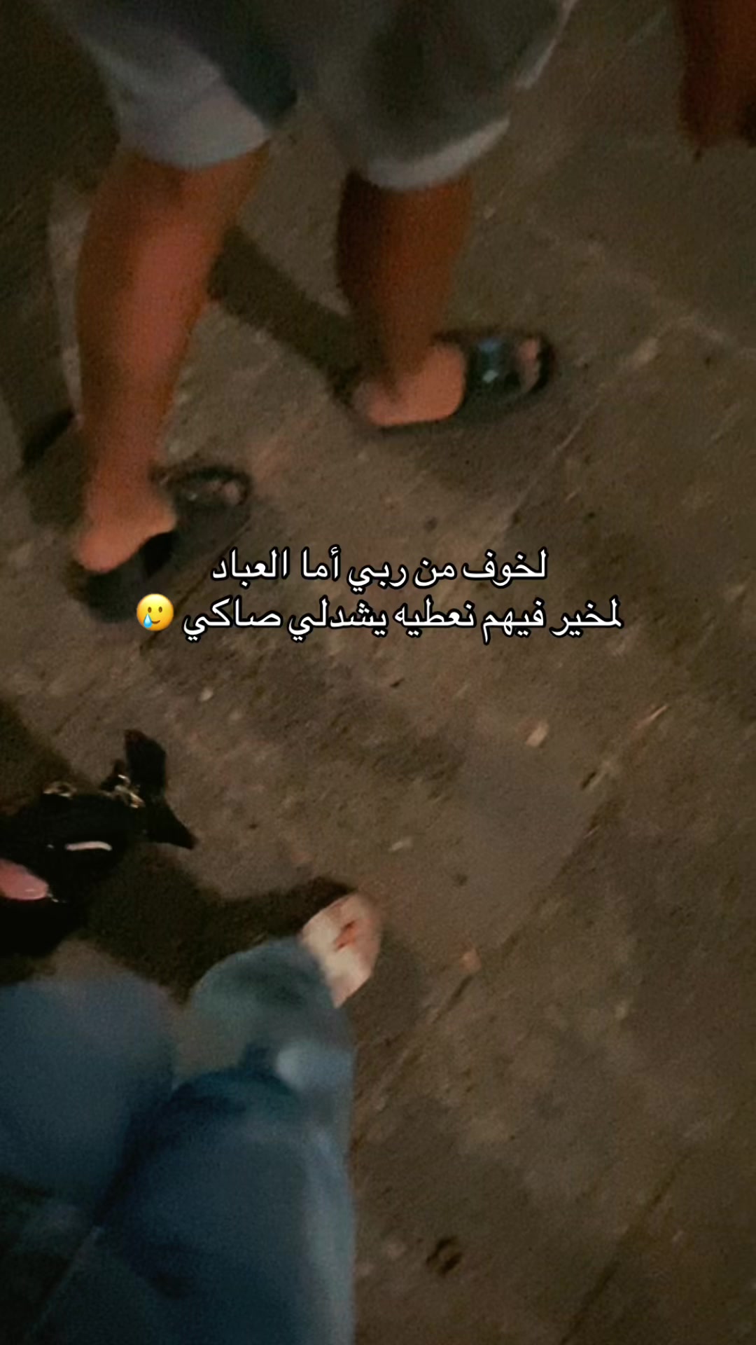 @🕊️
