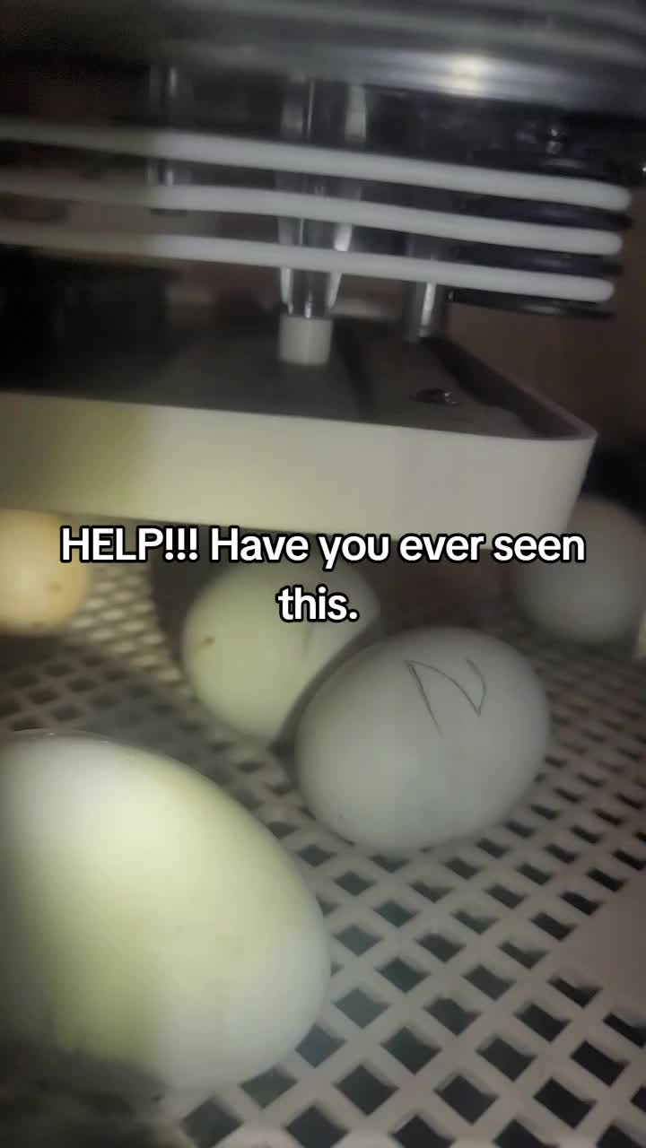 @JustJessi