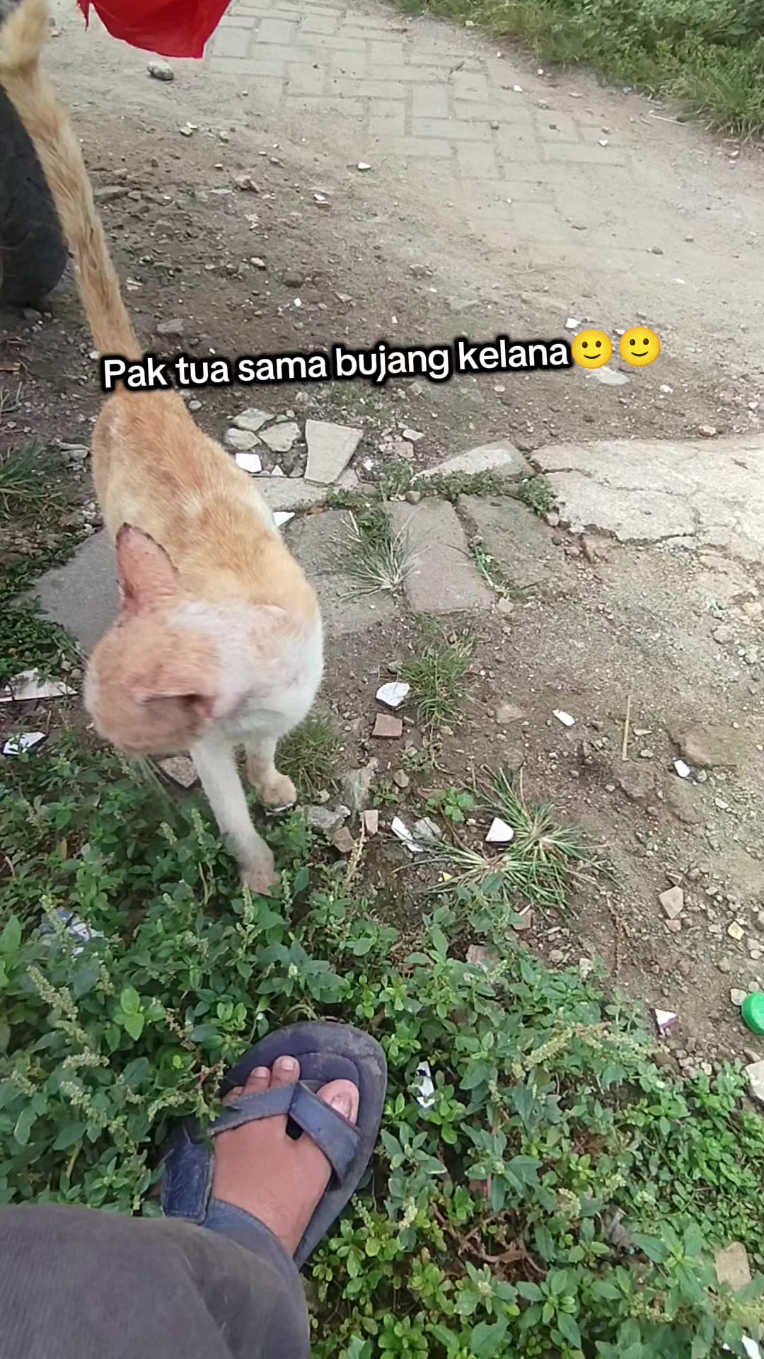 @Shanshan Ngapruk